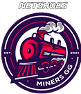 Logo Netshoes